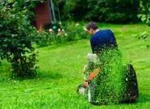 Kwikfynd Lawn Mowing
scullin